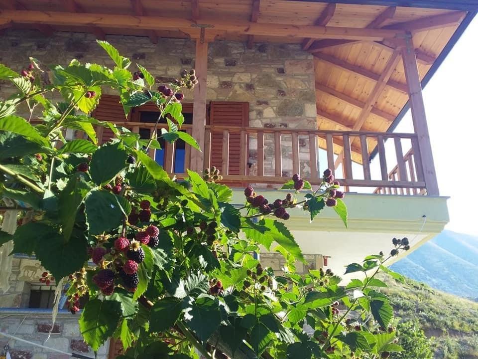 Bujtina Hader Xhebro Hostel Tepelene Exterior foto